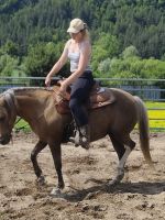 Profilová fotka koně