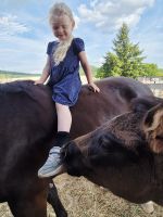 Profilová fotka jezdce